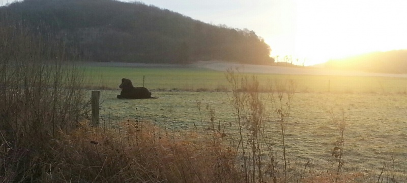 Sonnenaufgang Hof Koy